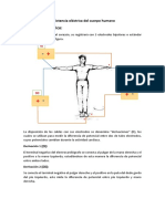 Resistencia Eléctrica Del Cuerpo Humano - Frank