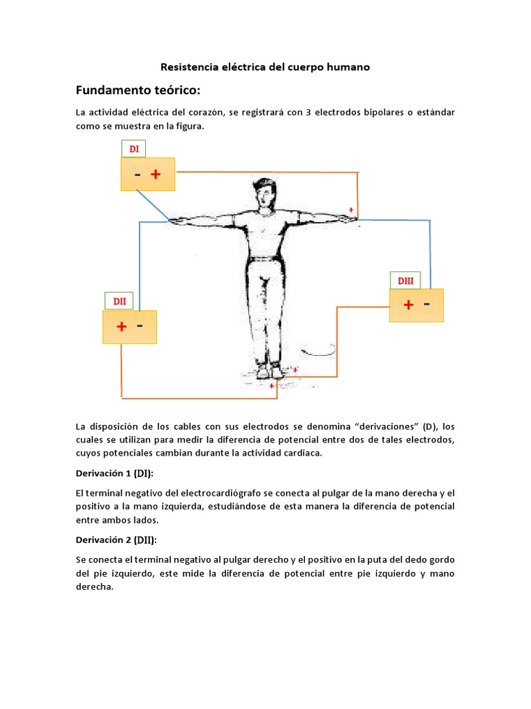 Resistencia Eléctrica Del Cuerpo Humano - Frank | PDF | Resistencia ...