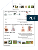 Evaluación Ciencias Naturales..pdf Versión 1
