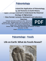 Stitt Paleontology 03 Introduction To Fossils 1