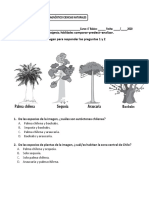 4° Básico - Diagnóstic0 Ciencias Naturales