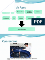 Profilaxia - Piscicultura