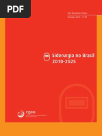 Steel Industry in Brazil 2010 to 2025 - CGEE and ABM