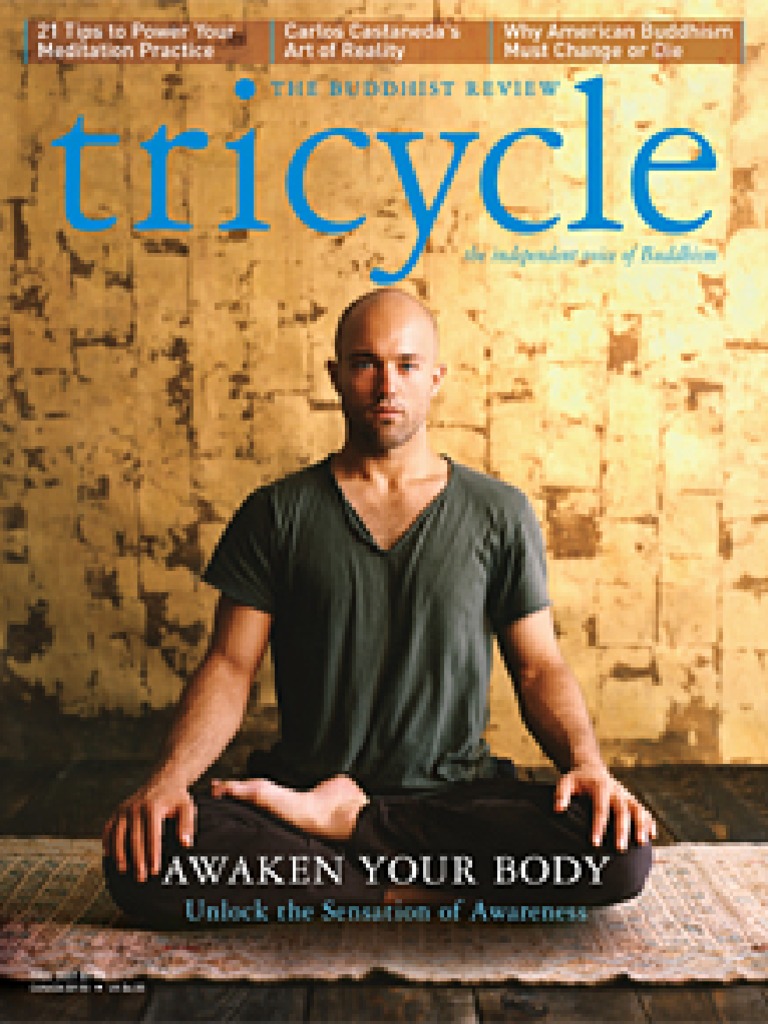 Tricycle Magazine Fall 2007 PDF Enlightenment In Buddhism