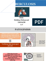 Heldina Melyawati-110116230-KP A (Kelompok 3) - TUBERCULOSIS