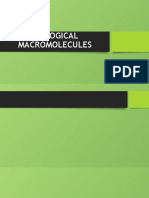 BIOLOGICAL MACROMOLECULES.pptx