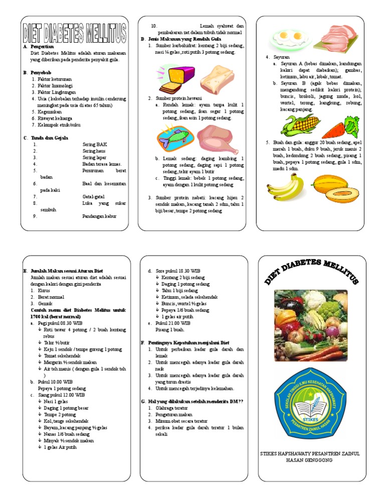 Panduan Diet untuk Penderita DM | PDF
