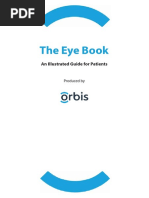 the-eye-book_2017