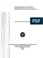 B18rpb PDF