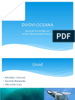 Divovi Oceana1