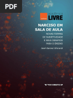 Narciso em sala de aula (José Garcez Ghirardi)