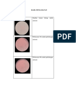 2910 - Hasil Praktikum 2 PK Fix