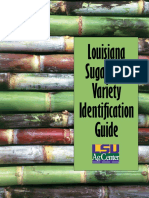 Sugarcane Identification PDF
