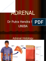 2-Adrenal Cushing - Tumor