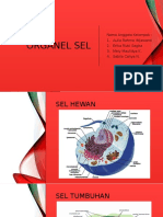 Organel Sel - Kelompok 1 - Biologi 2018D