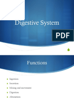 Lecture-Chapter-06-Digestive-System