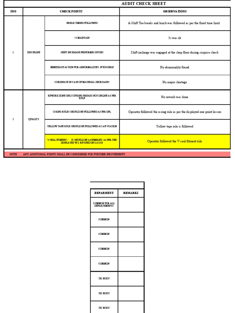 Audit Check Sheet | PDF