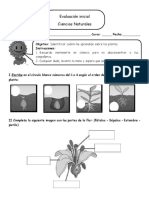 pruebadediagnsticocienciasnaturales3bsico-160922205941.pdf