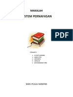 Sistem Pernafasan