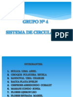 4 Sistema de Circulacion