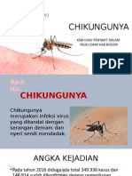 Giano Penyuluhan Cikungunya