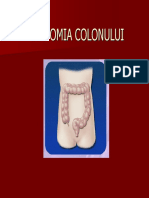 09 Patologia Colonului