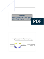 Metabol Degradativo Proteinas T42 BQ2
