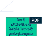 Gluconeogenesis T31 BQ2