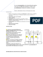 Fructosa Bioquímica