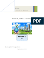 Principales Problemas en Perú-Módulo 6A