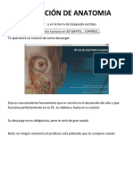 Aplicación de Anatomia PDF