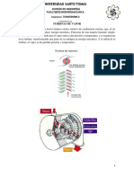 Turbinas A Vapor