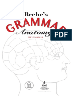 Brehes Grammar Anatomy