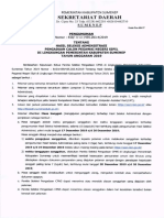 1 Pengumuman Sel Admin CPNS 2019.pdf