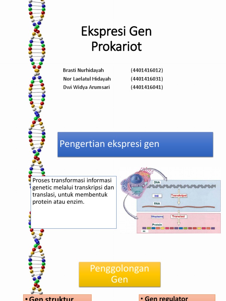 Regulasi Ekspresi Gen pada Prokariot | PDF