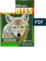 Myths_and_Truths_About_Coyotes_What_You_Need_to