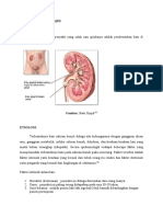 Nefrolitiasis.docx