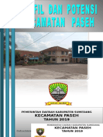 Profil & Potensi Kecamatan Paseh 2019