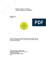 Laporan PKL Rizki Yusnia PDF