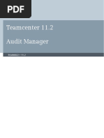 Audit Manager