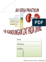 Praktik Uji Urine