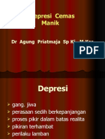 Depresi, Cemas, Manik