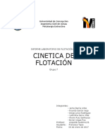 Edoc - Pub - Cinetica de Flotacion Grupo 7 PDF