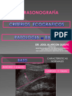Patologia de Bazo PDF
