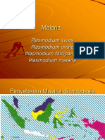 malaria-farmasi-2012 (1)