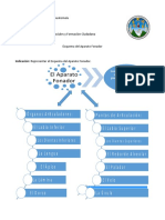 Esquema Del Aparato Fonador Vernáculo I y II