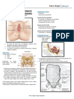 Anatomía del Aparato Reproductor Femenino