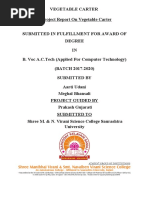 VEGETABLECARTER.docx