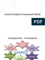 Camel Analysis Framework-Bank