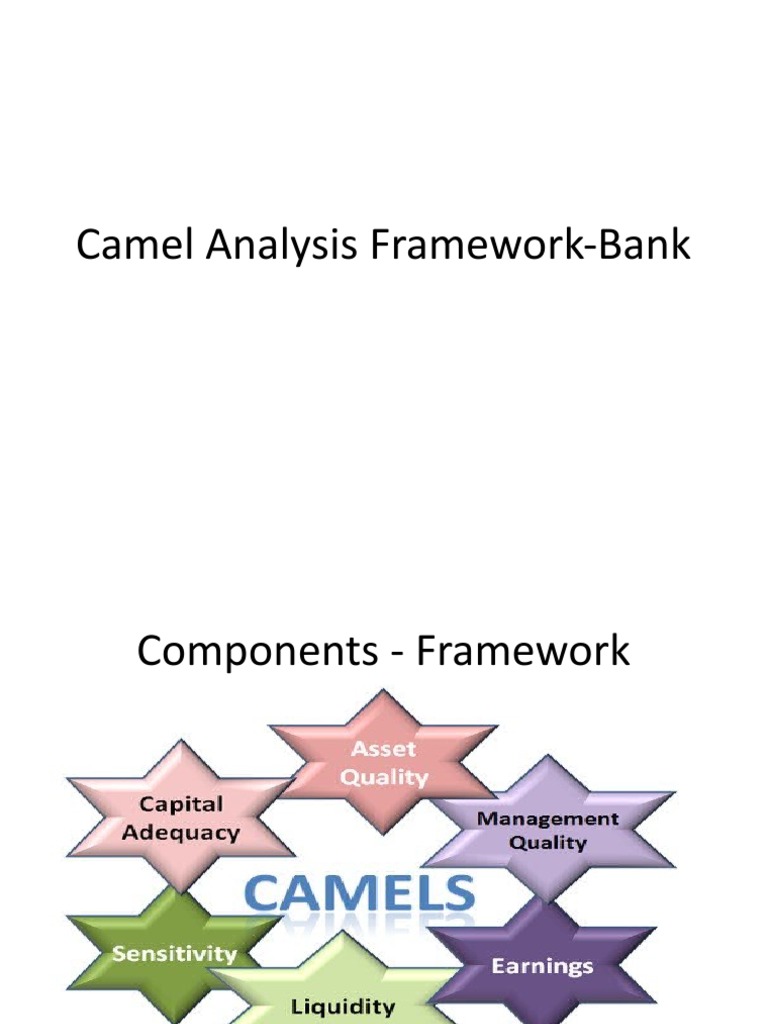 Camel Analysis FrameworkBank PDF Revenue Banks